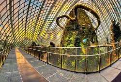 The place is the home to the world popular highest waterfall which is found in the Cloud Forest Conservatory of then park.